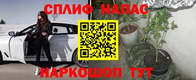 spice Можга